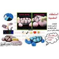 سلحفاة مضيئة 3 الوان و موسيقى لغرف الاطفال و الكبار و اباجورة ايضا