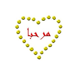 مستلزمات وتجهيزات seo