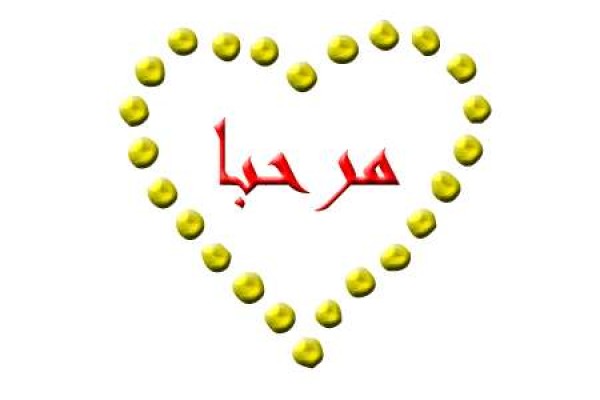 مستلزمات وتجهيزات seo