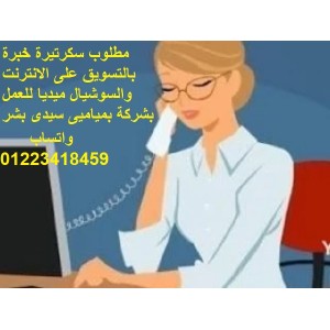 مطلوب سكرتيرة لديها خبرة بالتسويق على الانترنت لشركة بميامى سيدى بشر